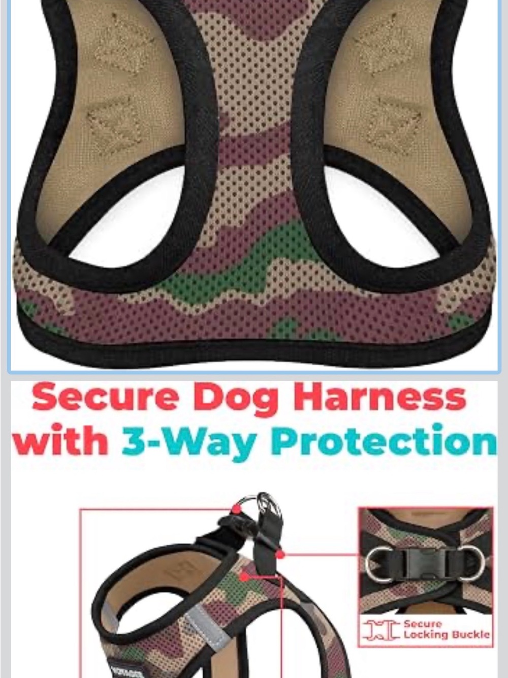 Harness - Picture 3 of 5